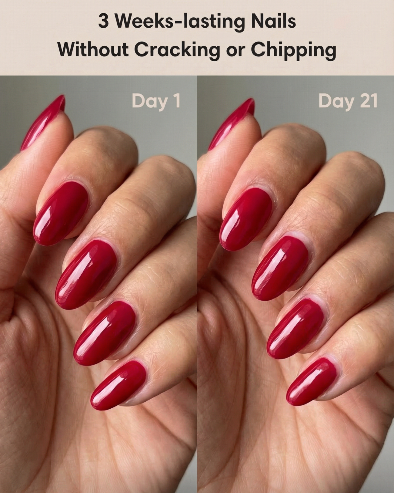 New Year Polygel Starter Set | 2+2 Free Colors